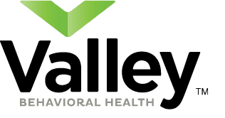 The logo for Valley Behavioral Health, a Firetoss digital marketing client