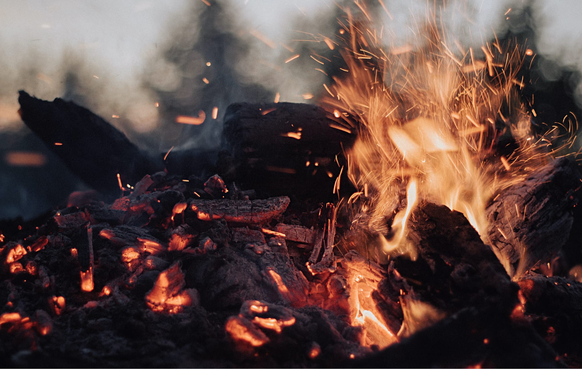 A bonfire burns while camping, denoting the wisdom that can be formed by marketing case studies